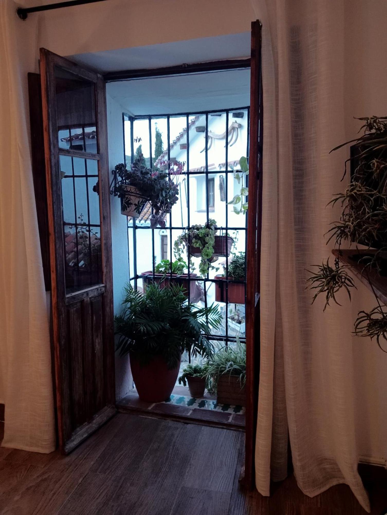 Appartement Jardin De Mucho *