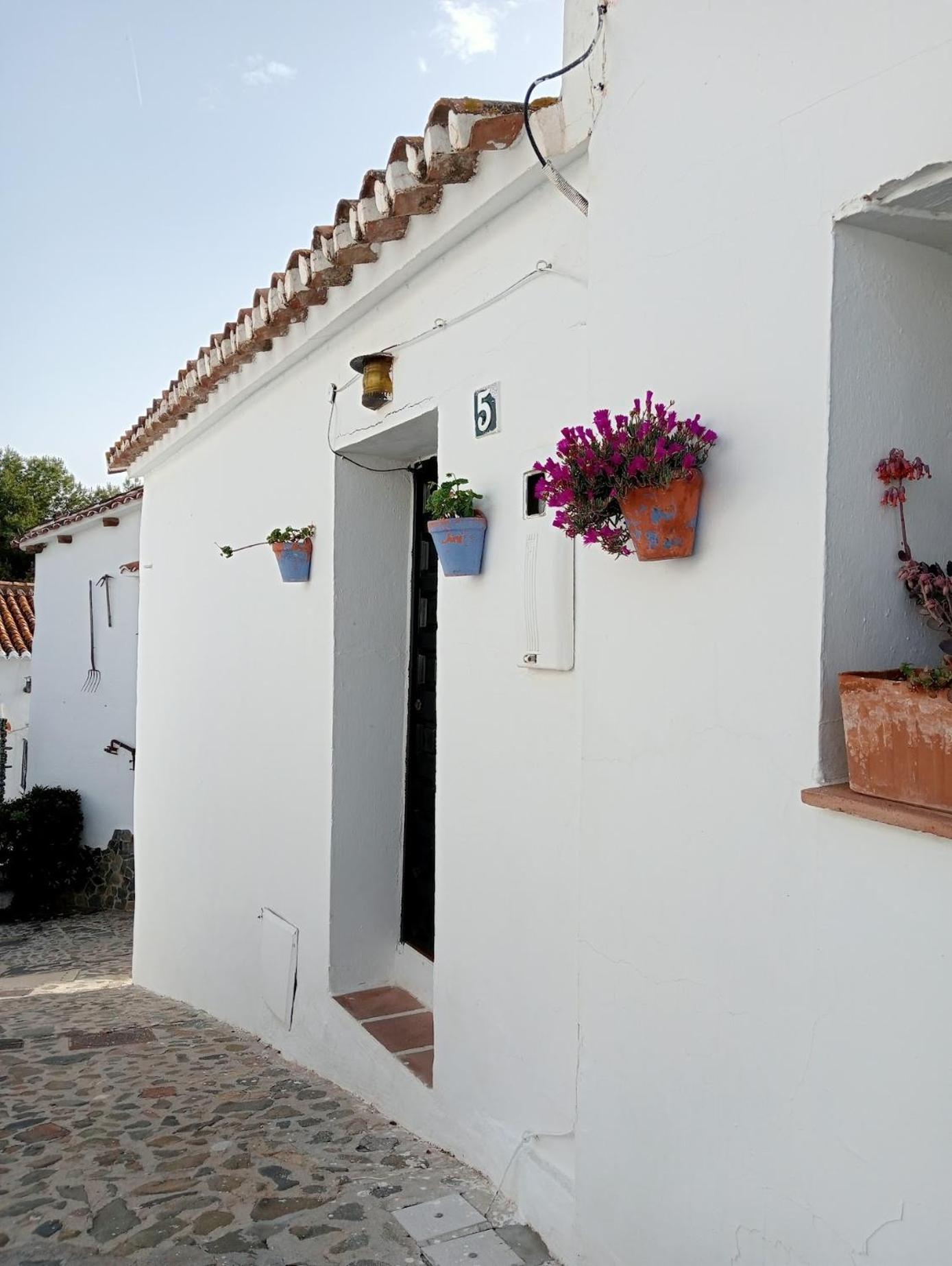 Apartment Jardin De Mucho