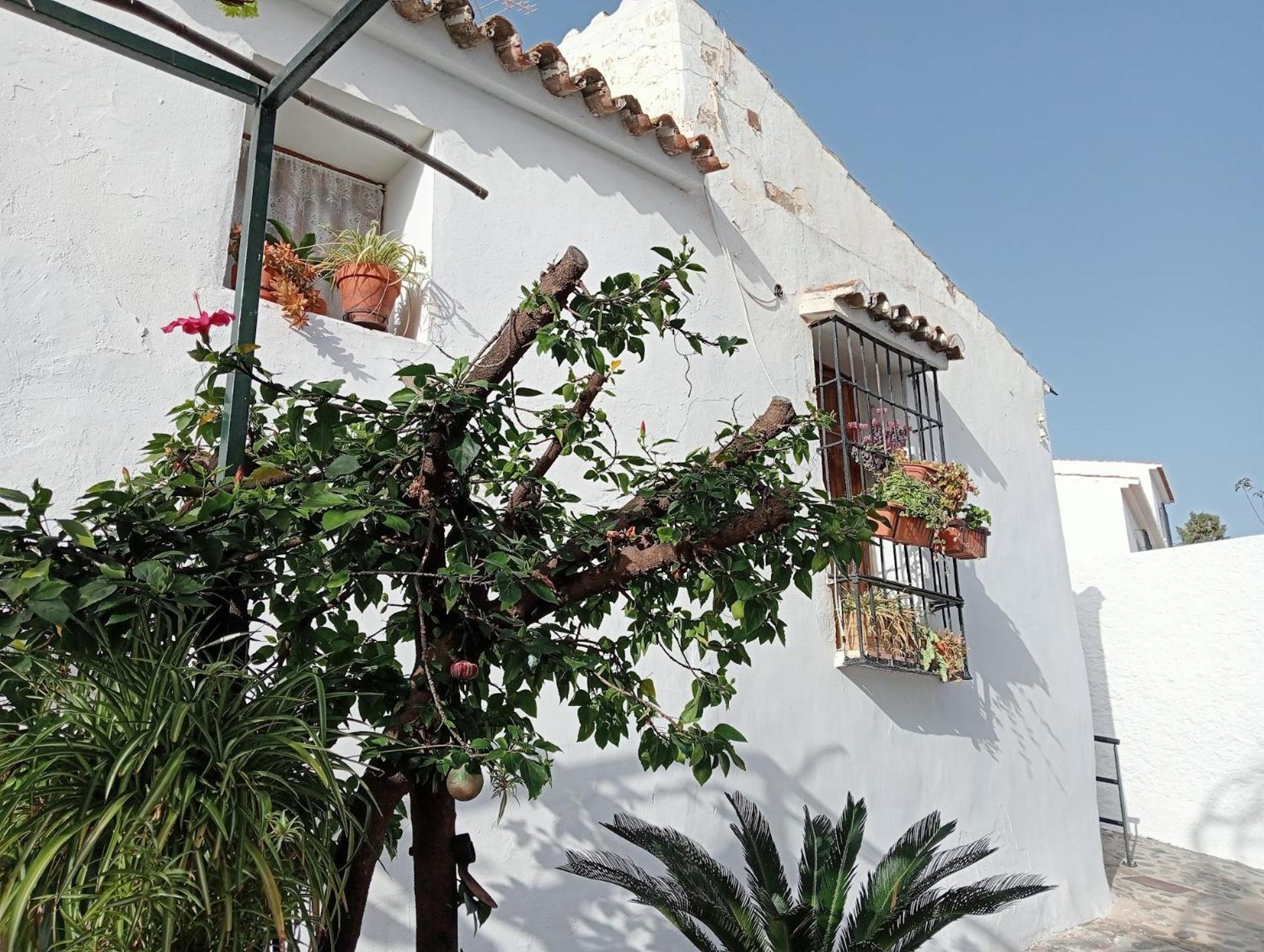 Jardin De Mucho